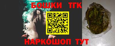 хмурый Камышлов