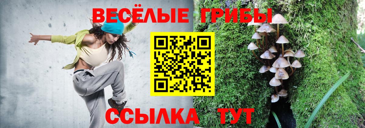 Псилоцибиновые грибы прущие грибы  Вход с VPN  Кушва 